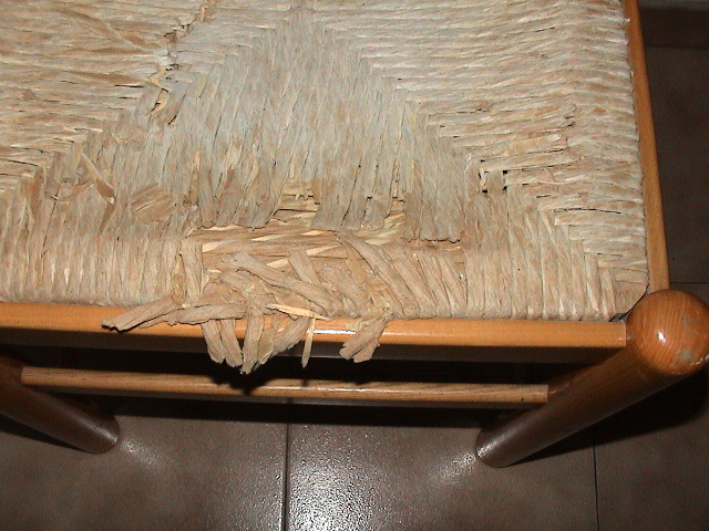 DSC00106